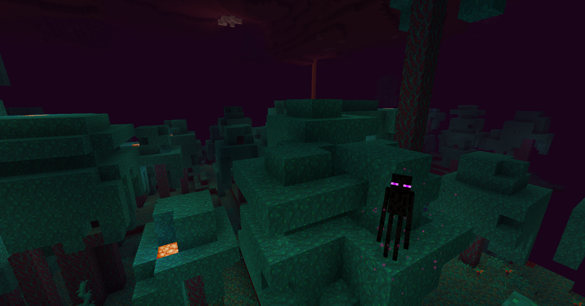 Warped Forest as it appears in vanilla Minecraft
