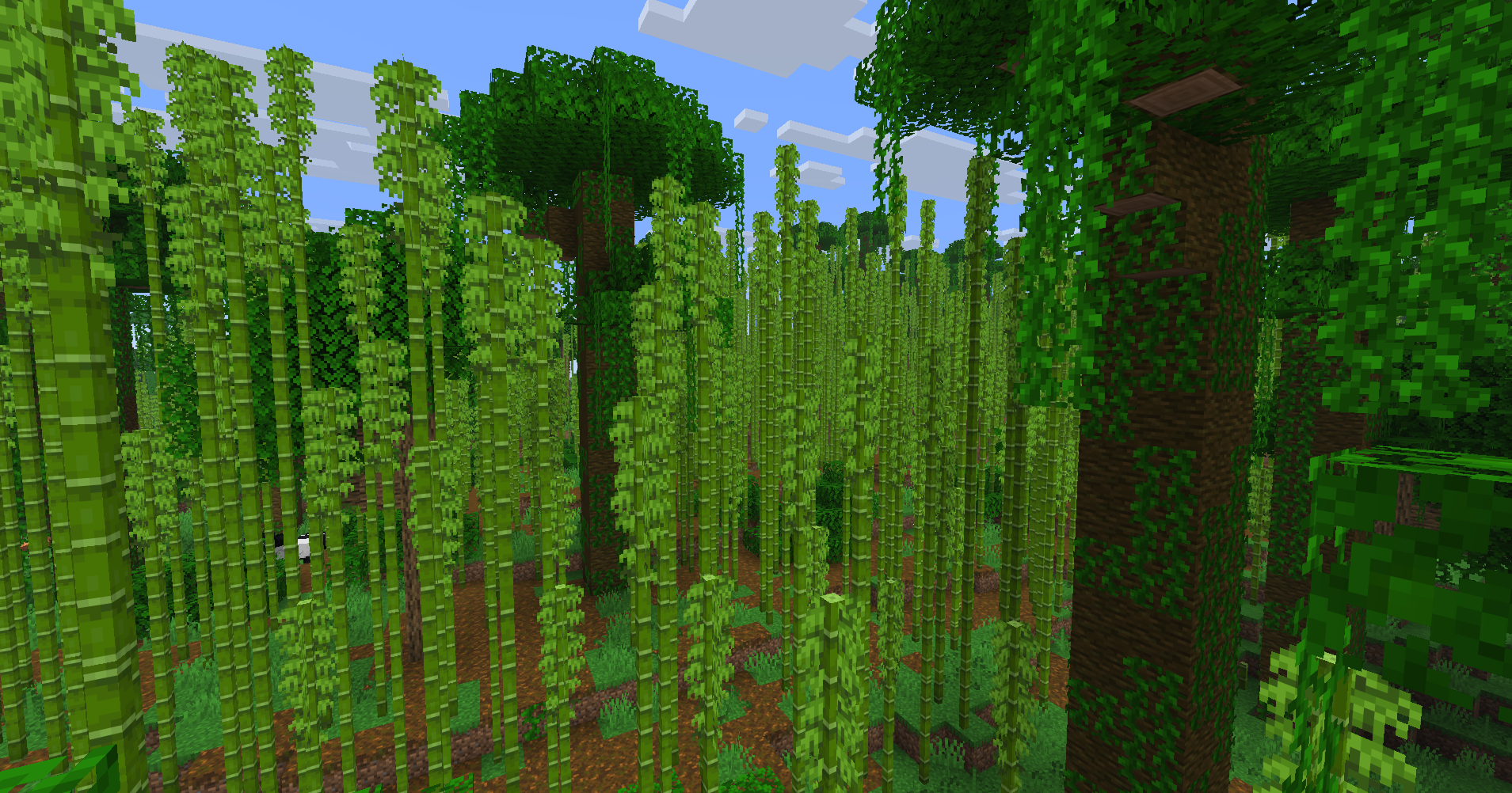 Bamboo Jungle as it appears in vanilla Minecraft