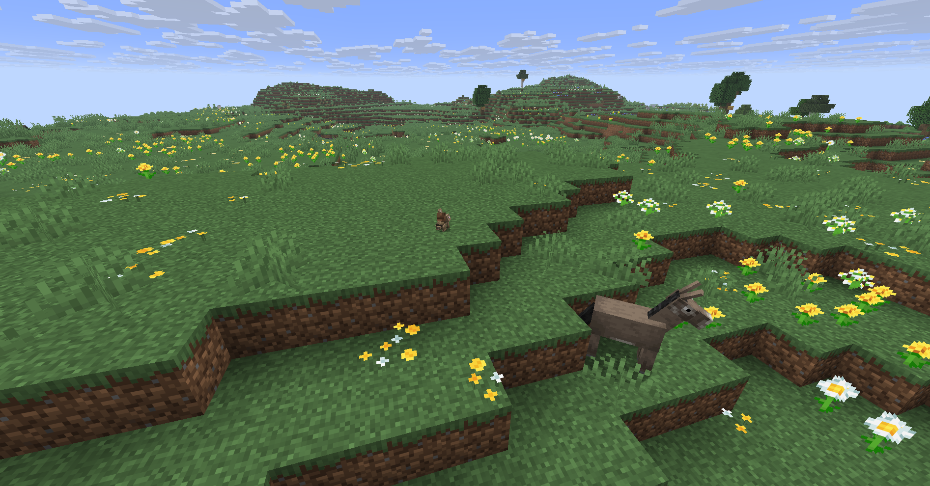 Meadow as it appears in vanilla Minecraft