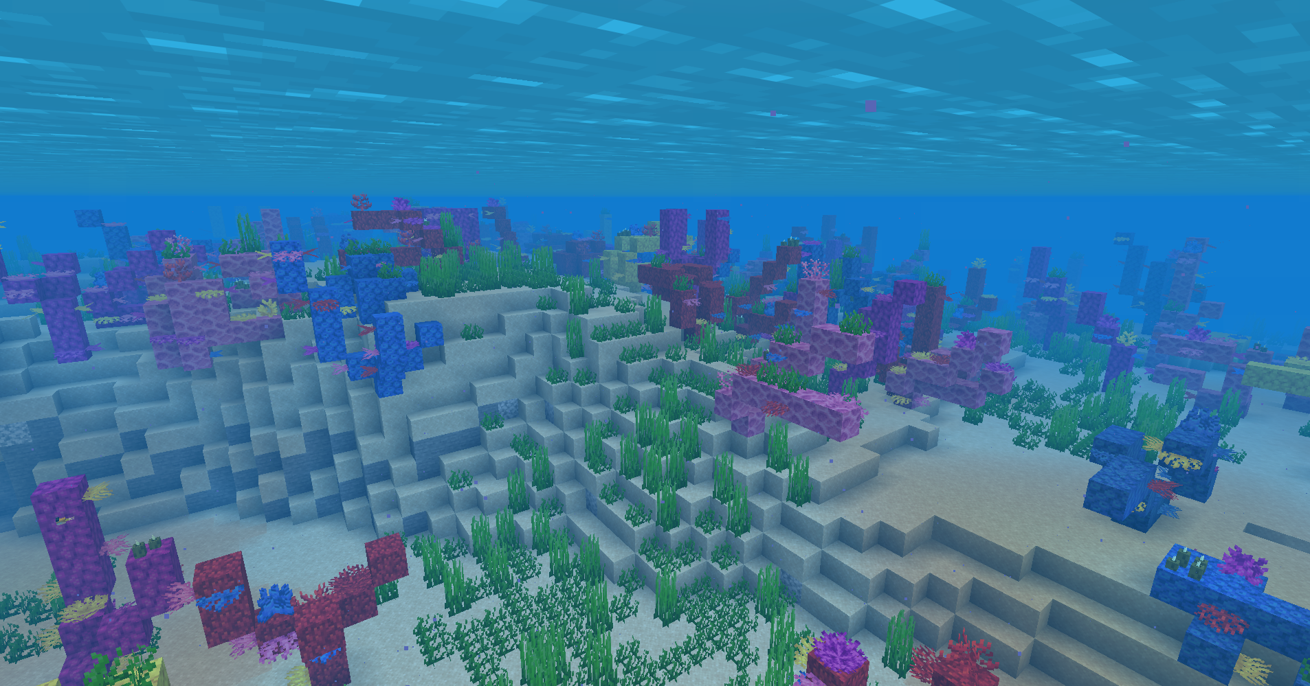 Warm Ocean location guide in Minecraft