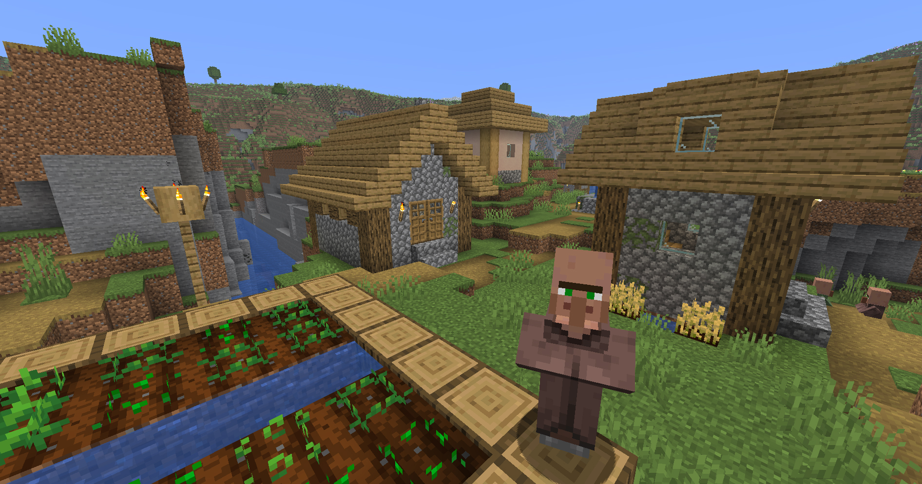 Plains Village with oak houses, farmland, and a villager