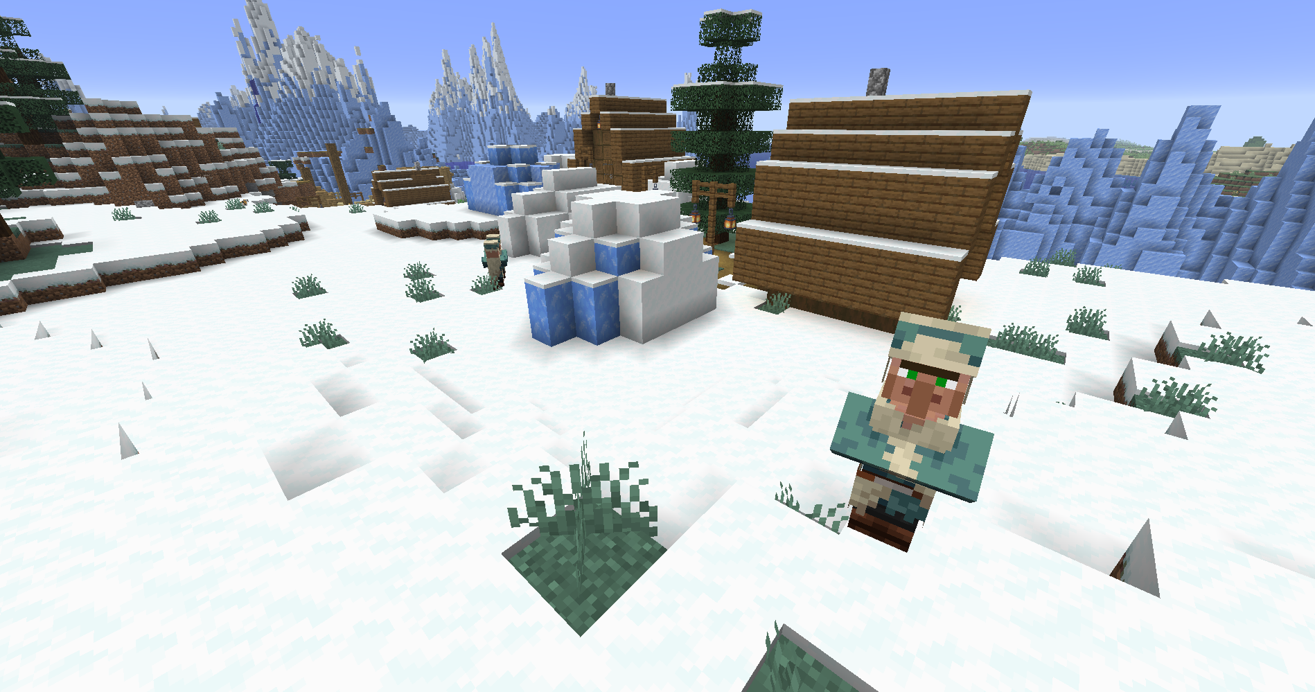 Snowy Village with wooden houses, ice, snow, and a villager