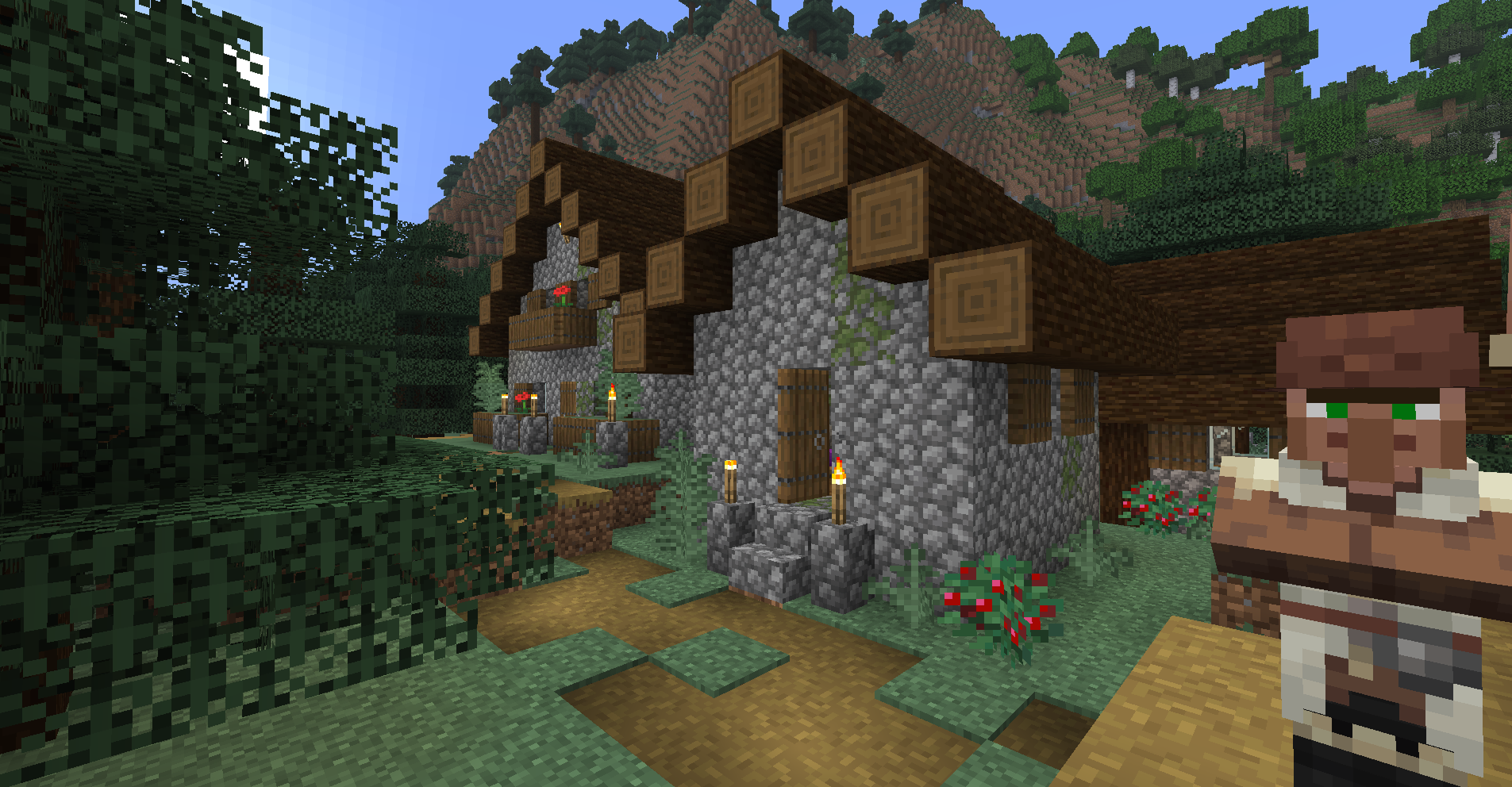 Taiga Village with spruce houses and a villager